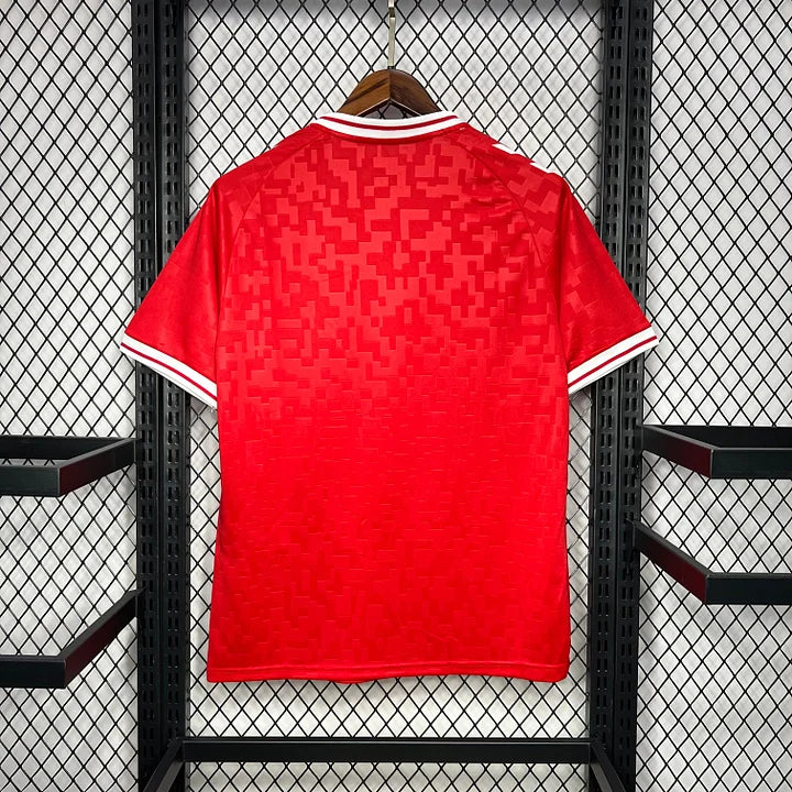 Maillot Danemark Domicile 2024-2025