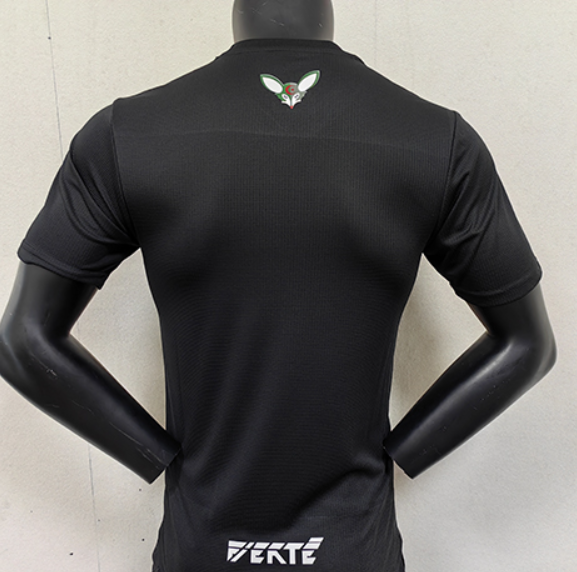 Maillot Algérie x Palestine