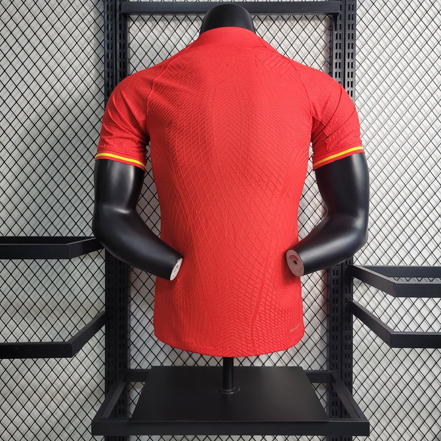 Maillot Domicile Chine 2023-2024